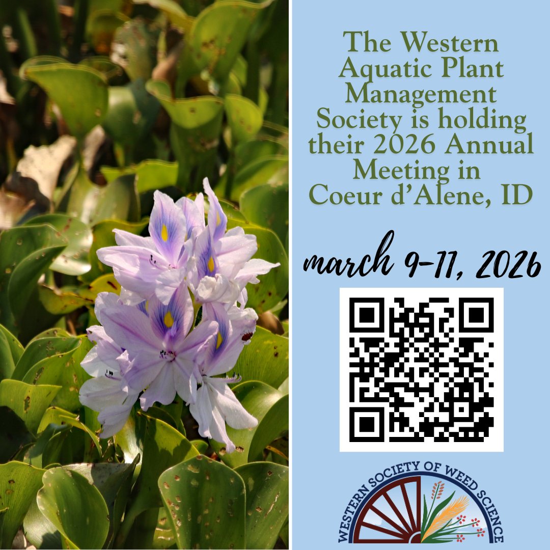 WSWS (@wsweedsci) on Twitter photo 📣Calling all #weedscientists who work in #aquaticplantmanagement! 🌱🌊
The Western Aquatic Plant Management Society Annual Meeting is in Coeur d’Alene, ID, March 9–11, 2026.
👉 Info here: wapms.org/2026-Annual-Co…
#WSWS #weedscience #aquaticweeds #invasiveplants #WAPMS 📣Calling all #weedscientists who work in #aquaticplantmanagement! 🌱🌊
The Western Aquatic Plant Management Society Annual Meeting is in Coeur d’Alene, ID, March 9–11, 2026.
👉 Info here: wapms.org/2026-Annual-Co…
#WSWS #weedscience #aquaticweeds #invasiveplants #WAPMS