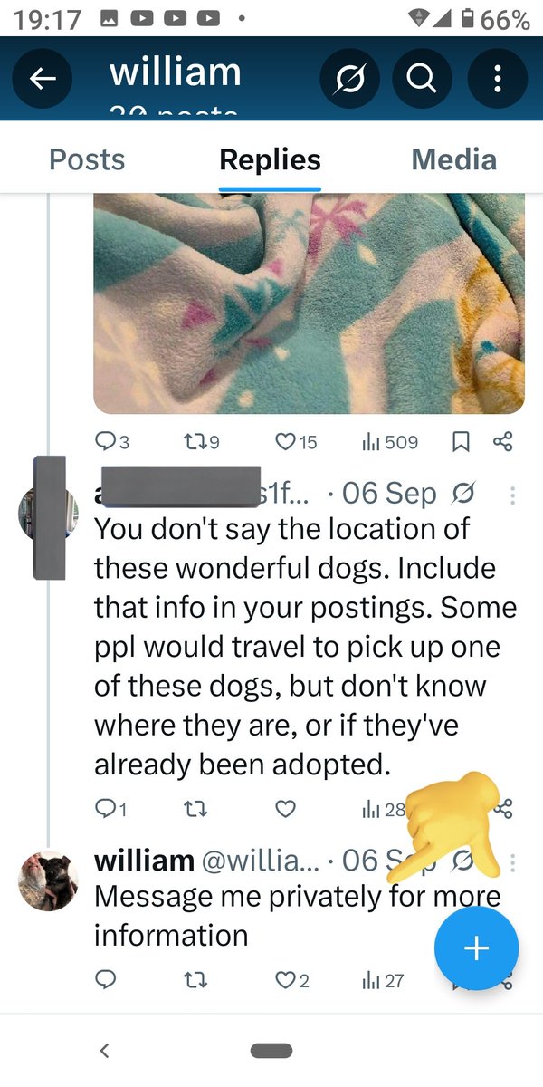 Pals. I doubt this account.
He(they) shows pictures of (adoptable?) dogs, but no locations, no info.
No contact info in his bio.
And locations seem various. UK? Also Texas?
Always say 'message me privately for more information'.
Be aware. Might be adoption fraud.
#OTLFP #ZSHQ