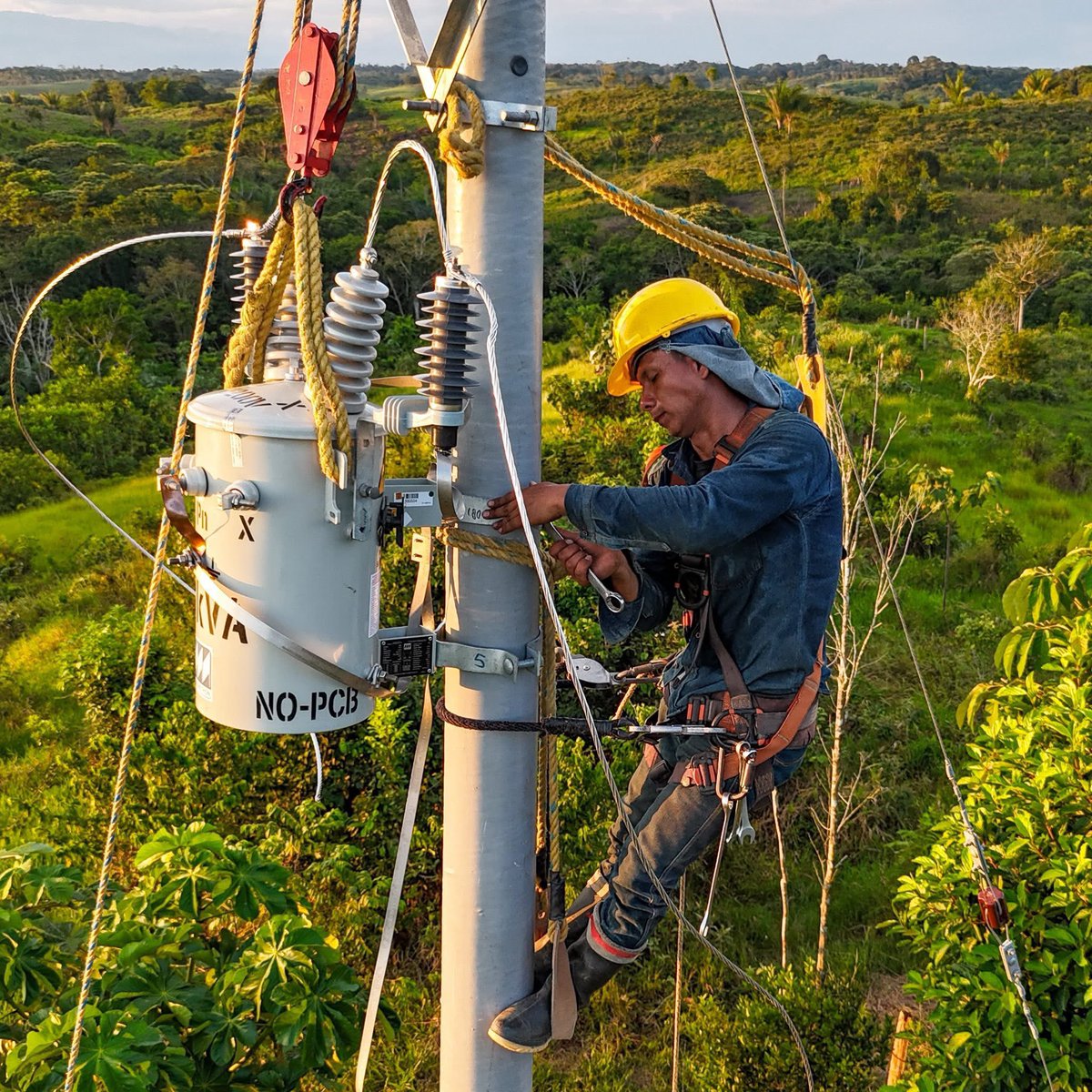 Más de 300 personas en la ruralidad caqueteña ya se benefician del proyecto de electrificación que adelantamos. Se trata de la construcción de más de 39 km de redes de media y baja tensión en veredas de La Montañita, El Paujil, Milán y Puerto Rico.