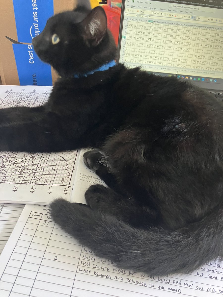 Work? No I don’t think so