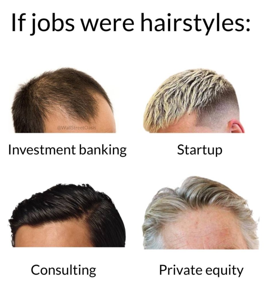 PranayTiwari_06's tweet image. When your career choice comes with a signature hairstyle! 💼✂️
 #JobHumor #hairgoals