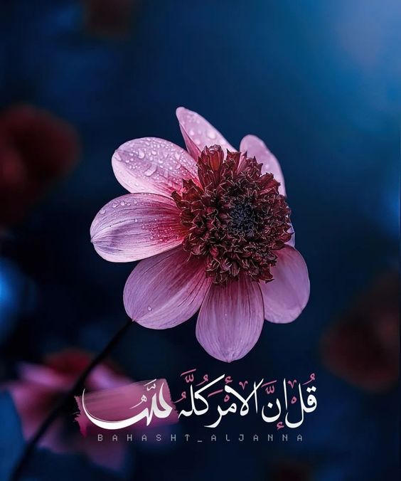 اللهم ارضنا بما قسمت لنا وخفف عنا صعب الايام و ثقلها و اصرف عنا هم الدنيا و مفاتنها وثبت قلوبنا على دينك و اعنا على طاعتك و اشرح صدورنا وصبرنا على ما ابتلينا 
لنفسي ولوالدي ولجميع المسلمين يا رب العالمين
اللهم قوه ♥