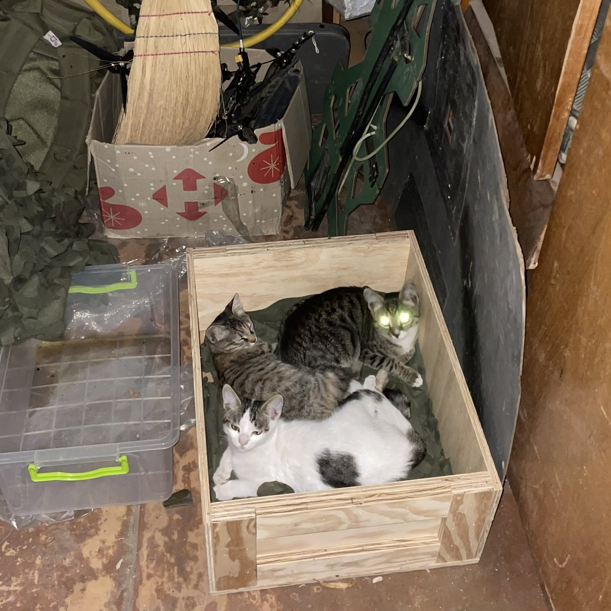 ****** атео tweet media