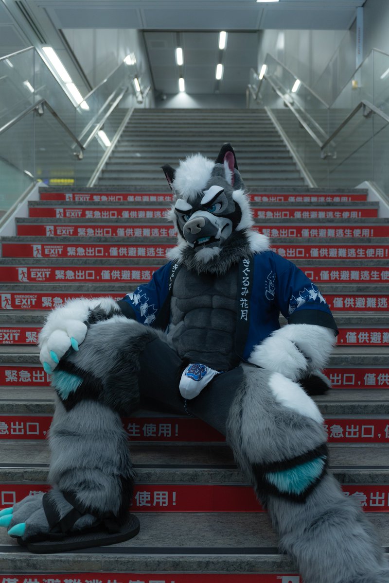 前方でオオカミさんが出口をふさいでいます。写真撮影は順番にお並びください🐾
Wolves are blocking the exit ahead, please line up patiently for photos 🐾

📷： Xian Tsai 
#FursuitFriday 
#Fursuit