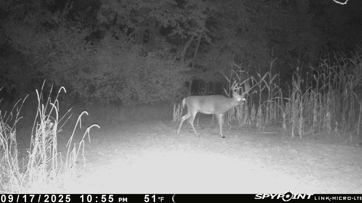 Greatlakesgirl_'s tweet image. Another cam facing S/E on corridor 🔥
 #SPYPOINT