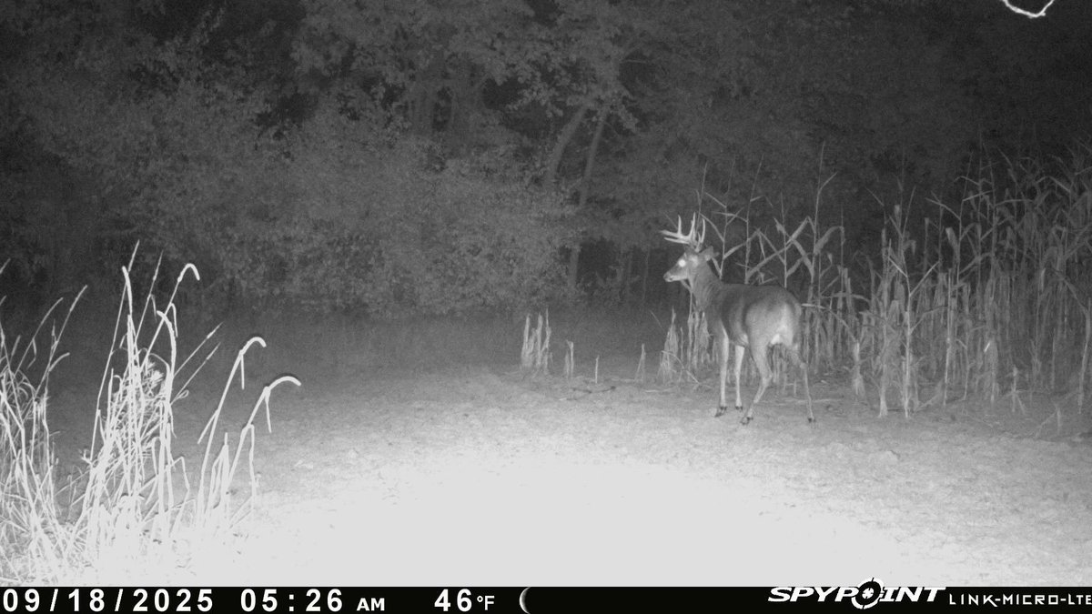 Greatlakesgirl_'s tweet image. Another cam facing S/E on corridor 🔥
 #SPYPOINT