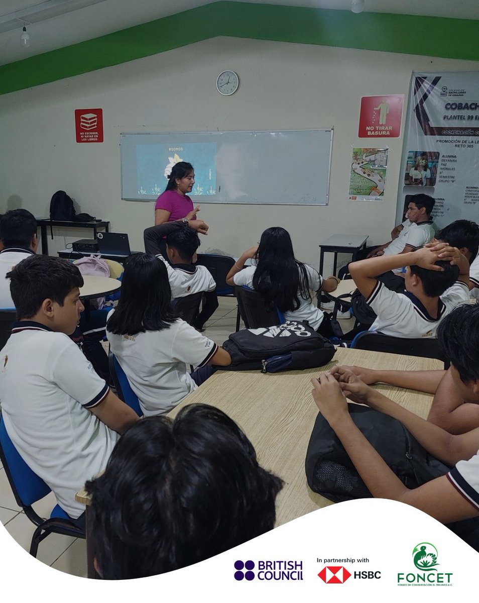 En el marco del proyecto 🍃“Climate Skills: Semillas para la transición”, desde FONCET impulsamos ideas lideradas por juventudes comprometidas con la crisis climática. 🌳 Tras un proceso riguroso, hoy contamos con 13 iniciativas en marcha en Chiapas.
#climateskills #juventudes