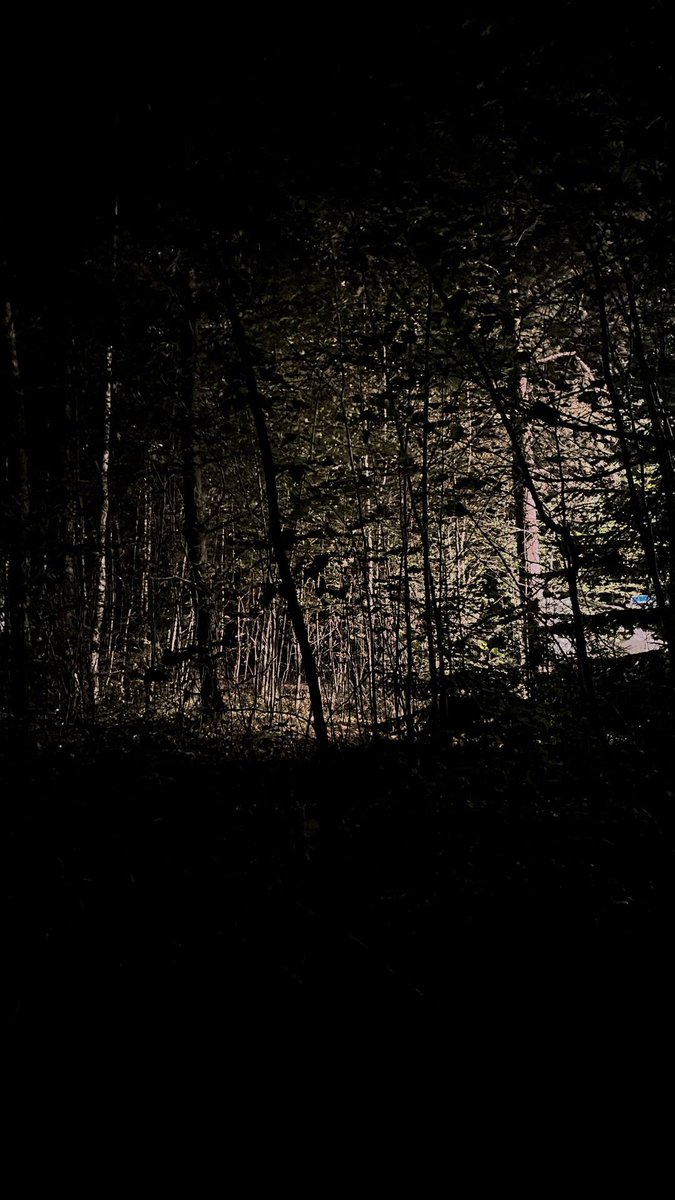 the_VETEMANS's tweet image. #FocusPuller #1AC