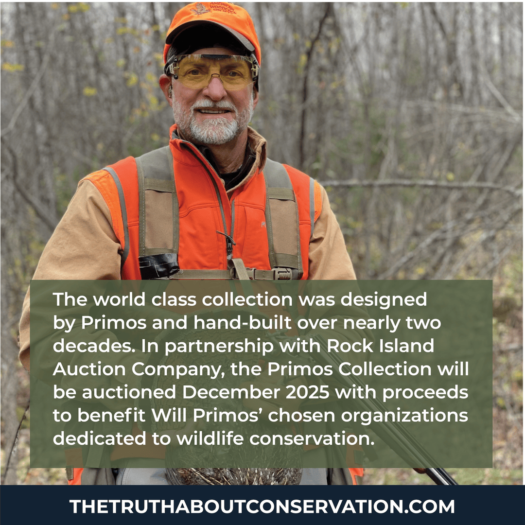 The Truth About Conservation gun auction is Dec 5 with Rock Island Auction. Sign up at RockIslandAuction.com to get the auction catalog &amp; learn more about the set of 5 Purdey shotguns Will Primos put up for auction. Visit TheTruthAboutConservation.com to learn more!