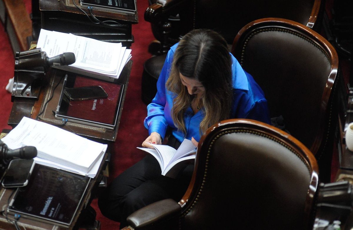 Si hubo alguien que le aportó gobernabilidad en el Congreso a Mauricio Macri y a Javier Milei (en su primer año de mandato) fue Silvia Lospennato.

Su labor parlamentaria con un nivel de profesionalismo muy pocas veces visto es indiscutible. Cualquier persona que mínimamente