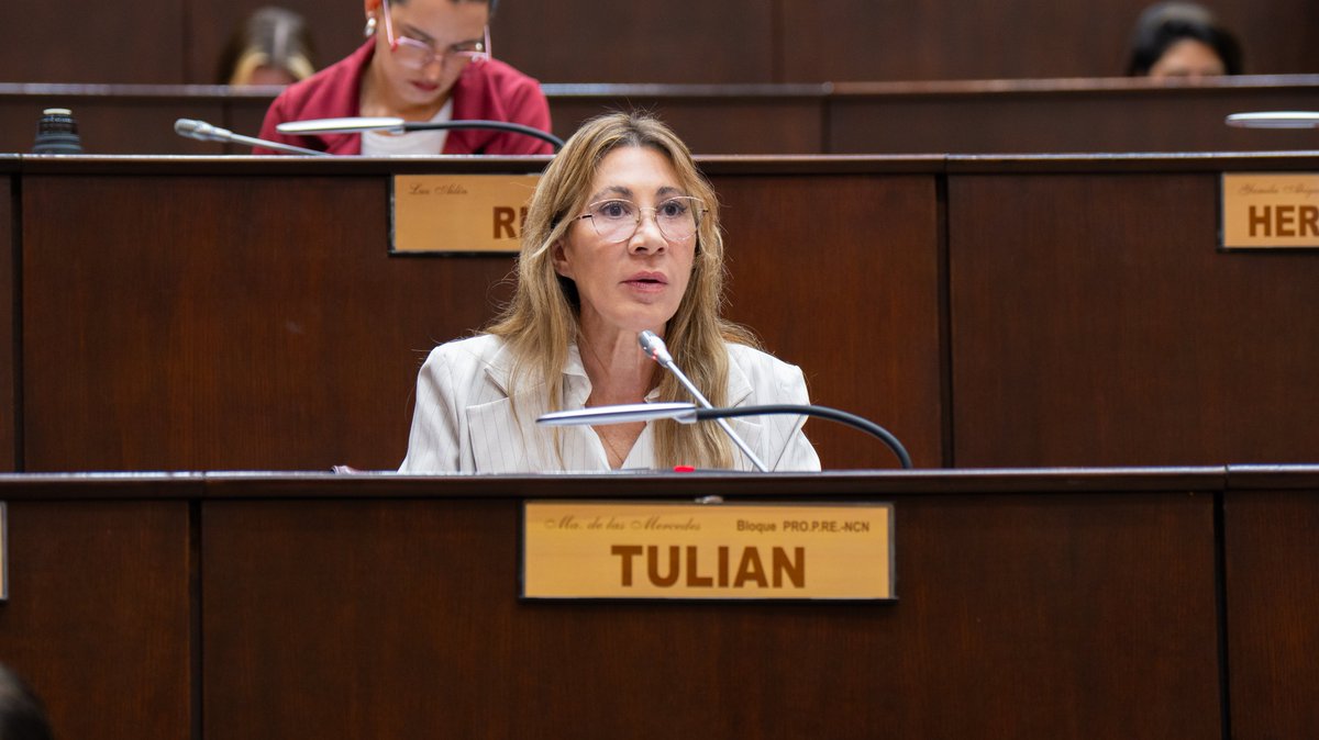 🔸N° 3530 → Derecho de admisión para deudores alimentarios.
🔸N°3531 → Exámenes toxicológicos obligatorios para funcionarios públicos de alto rango.
🔸N° 3532 → Modificación de los artículos 1° y 49° de la Ley 1594 de honorarios profesionales de abogados y procuradores.
🔸N°