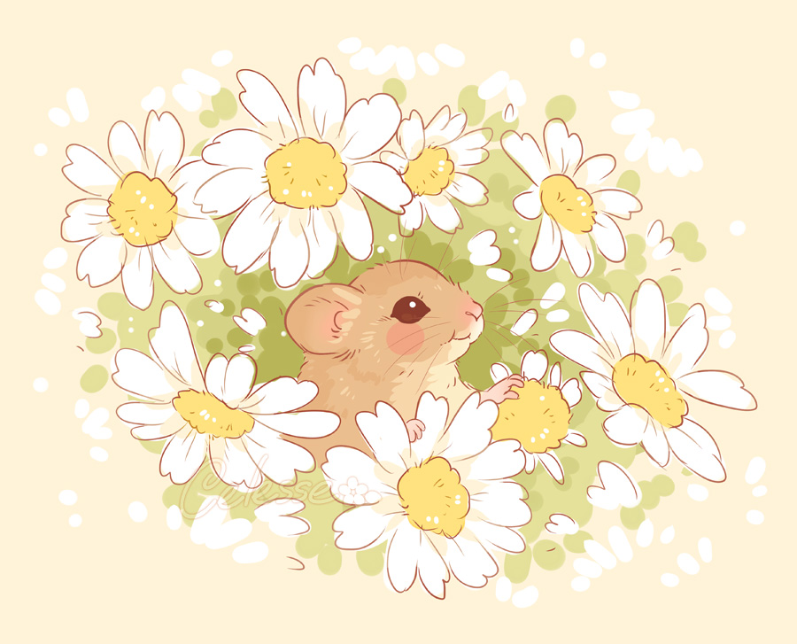 Oh, to be a tiny harvest mouse in a bundle of flowers right now 🐭🌼