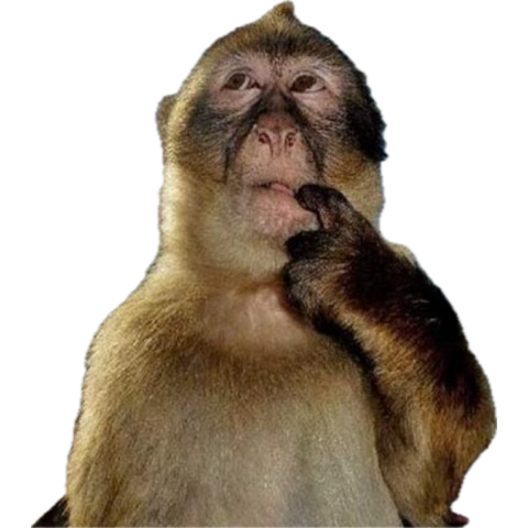 What should we name our next game?