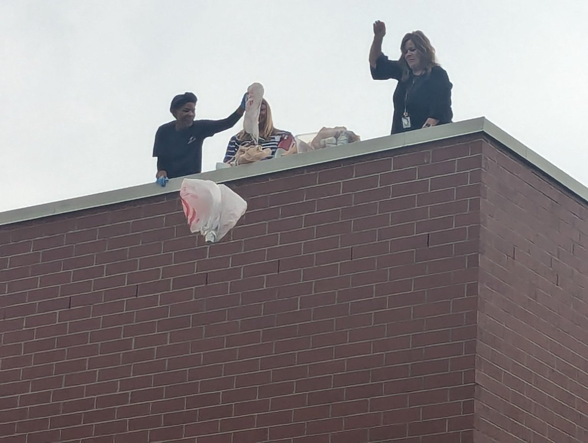Teachers who love science teach kids to love science! Ms. Craig’s class learned so much from our EGGstronaut experiment! <a href="/WoodchuckWorld/">WoodchuckWorld</a> <a href="/vbschools/">VBSchools</a>. Shoutout to our admin on the ROOF! <a href="/mmthomps/">Megan Thompson</a>