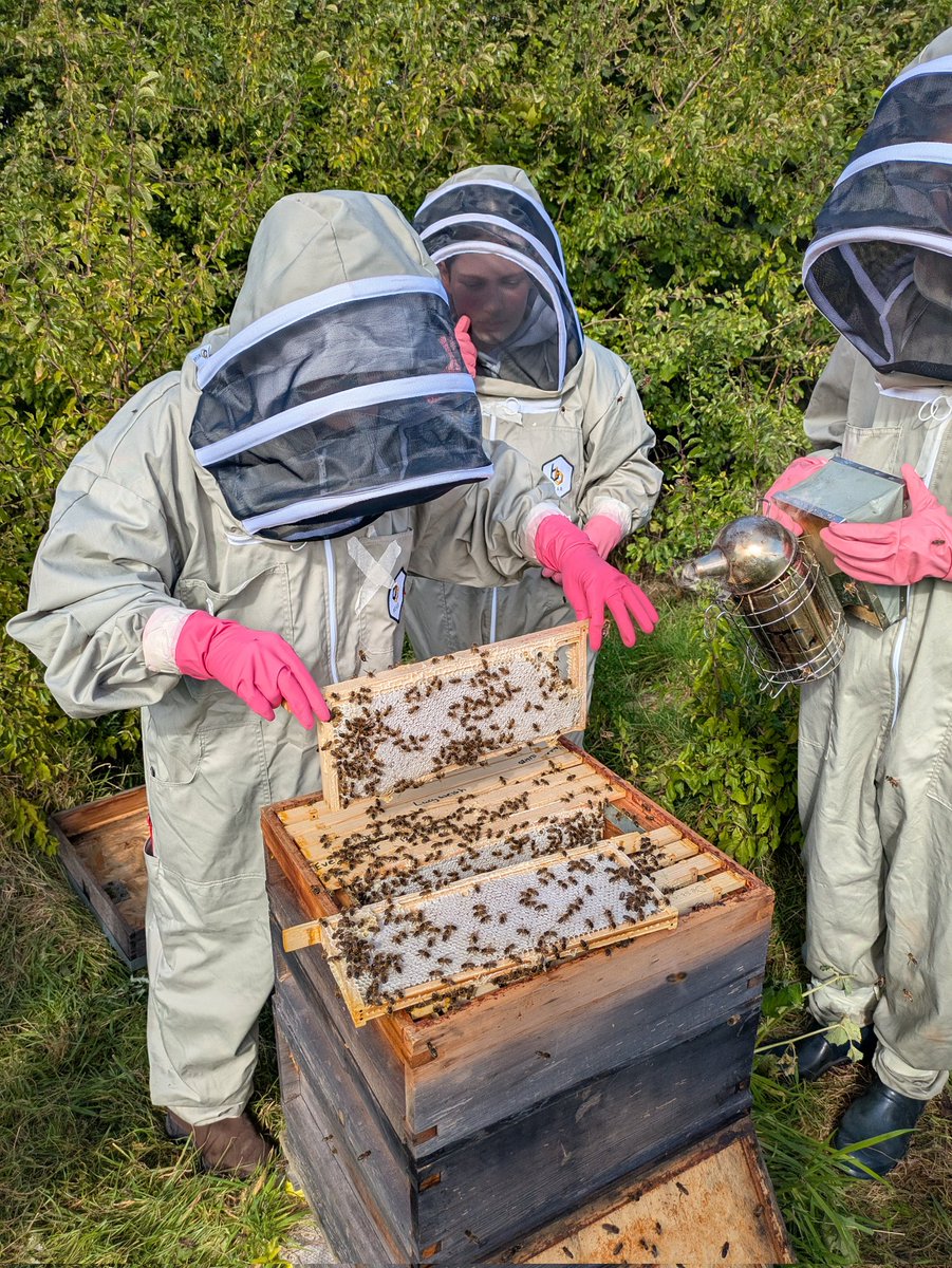 addie_jen's tweet image. Well done to all of our NPA Beekeeping students who passed their practical assessment today. Thanks to Ray Baxter for verifying our work and to @MarchmontEstate for supporting us in delivering this qualification. It was a fantastic day! 🐝🐝 #aimforbest #beekeeping
