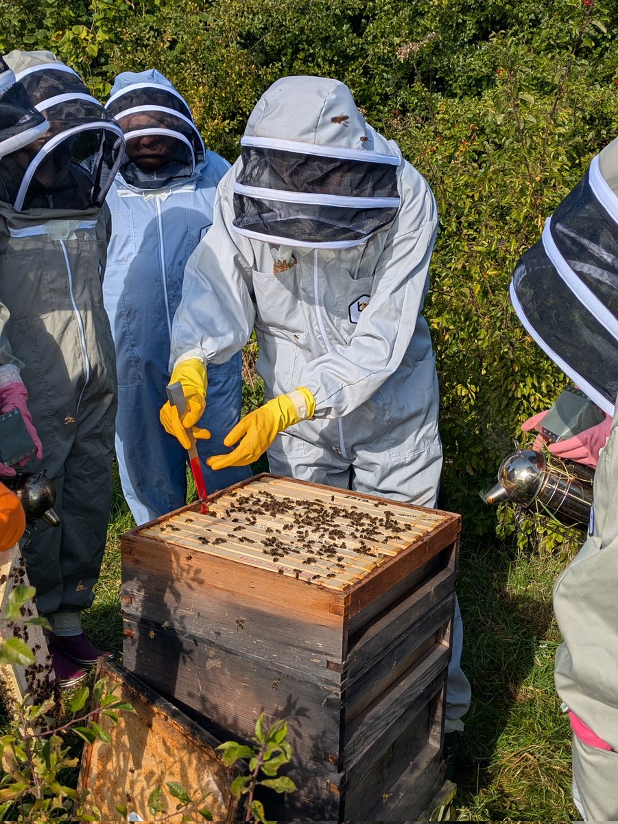 addie_jen's tweet image. Well done to all of our NPA Beekeeping students who passed their practical assessment today. Thanks to Ray Baxter for verifying our work and to @MarchmontEstate for supporting us in delivering this qualification. It was a fantastic day! 🐝🐝 #aimforbest #beekeeping