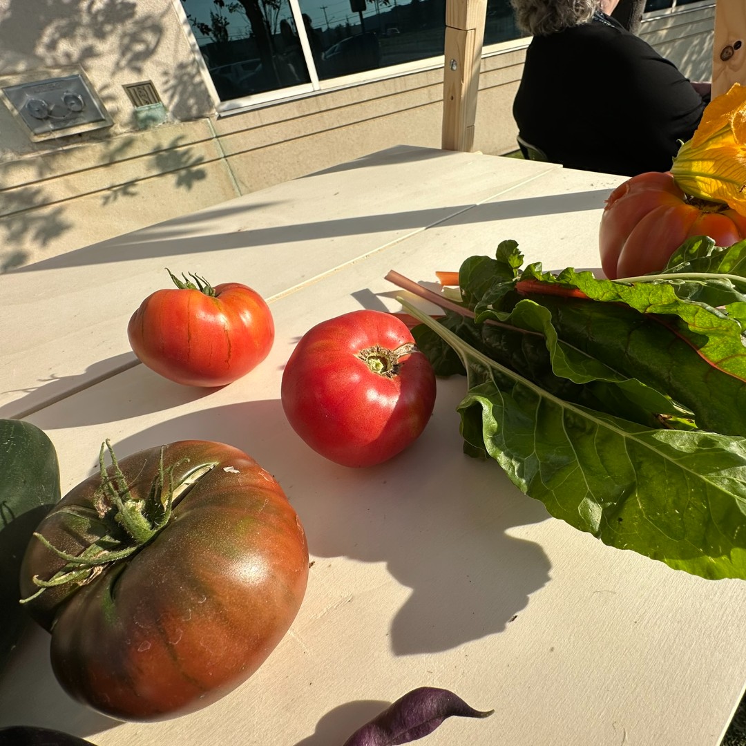 AMAcommunity's tweet photo. Got carrots, potatoes, or beets to spare? 🥕🥔
Bring them to any AMA centre by Oct. 4—we’ll deliver them to Alberta food banks for families in need. 💛
#HarvestingHope #FillOurFleet
🔗 https://t.co/vsZLqCHpJs
@yegfoodbank https://t.co/DsO7iVerYH