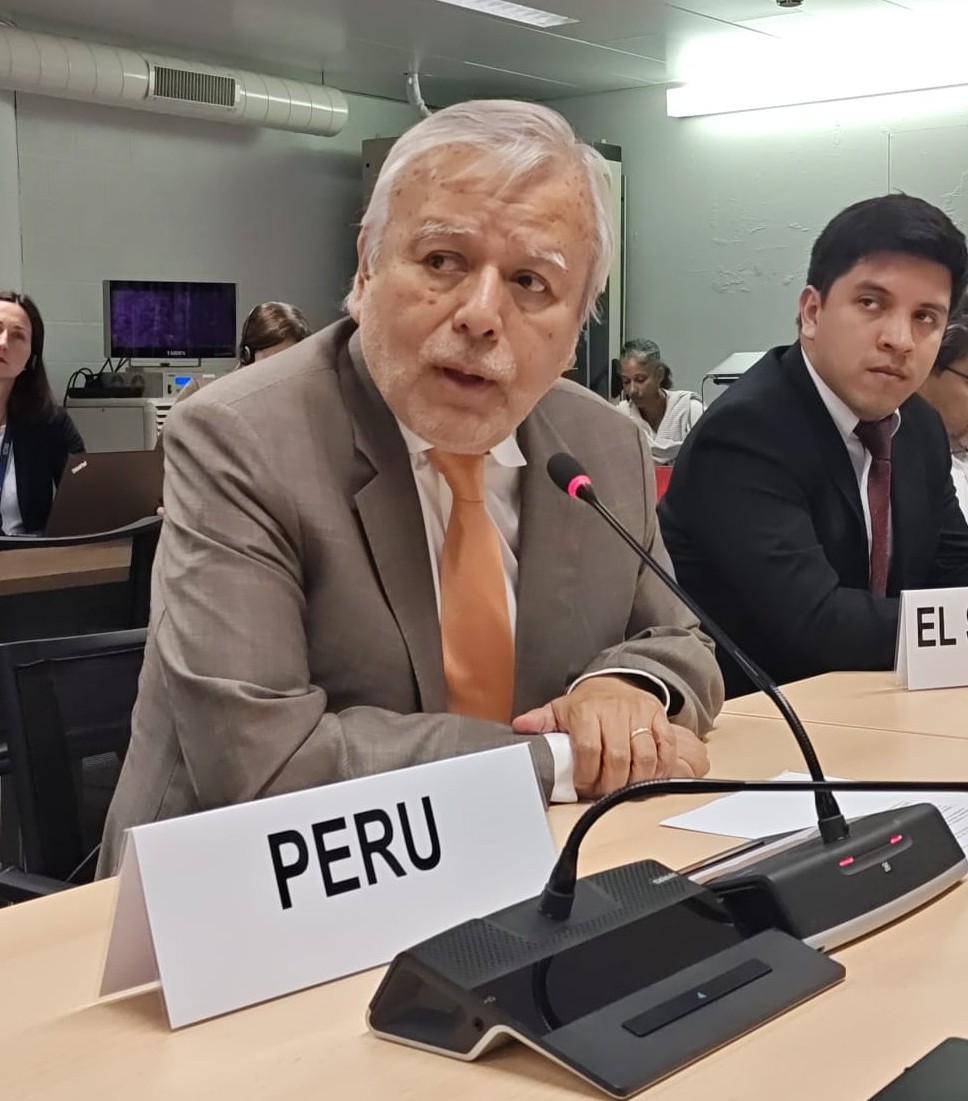 El Embajador Chuquihuara, en su calidad de Vicepresidente de la Mesa del Consejo de la OIM, compartió con los países miembros del GRULAC información sobre los temas abordados en la reunión del Grupo de Trabajo sobre Alianzas, Gobernanza y Prioridades Institucionales de la OIM.