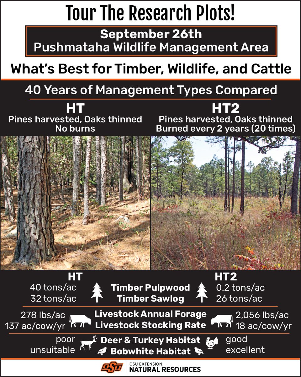 Tour the Research Plots!

September 26th
Pushmataha Wildlife Management Area

Register here bit.ly/PushmatahaFiel…

What's best for Timber, Wildlife, and Cattle

40 Years of Fire Management Types Compared

HT: Pines harvested, Oaks thinned, NO burns
HT2: Pines harvested, Oaks