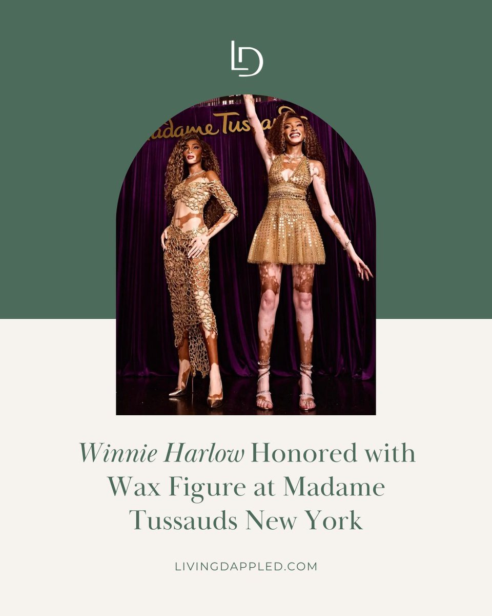 Living Dappled tweet media