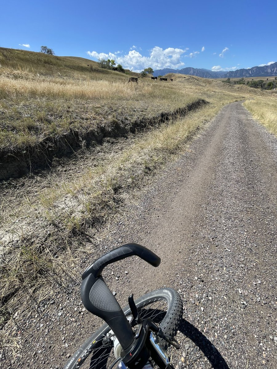 Kirk Watson (@kbwatso) on Twitter photo After riding through cattle on the Inner Bismarck south of Superior, the trail is closed for… cattle grazing for the two best months to ride it September and October. <a href="/BoulderCountyOS/">BoCo Open Space</a> will come up with another excuse, but I am calling Cattle S——. Just tell people cattle are After riding through cattle on the Inner Bismarck south of Superior, the trail is closed for… cattle grazing for the two best months to ride it September and October. <a href="/BoulderCountyOS/">BoCo Open Space</a> will come up with another excuse, but I am calling Cattle S——. Just tell people cattle are