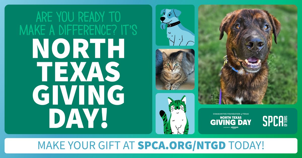 spcaoftexas's tweet image. It's here! This North Texas Giving Day, we’re saying thank you on behalf of the countless animals at the SPCA of Texas 💜🐾

✨ There’s still time to make an impact!  👉 Give now: shorturl.at/NgBQy
#northtexasgivingday #givenow #lastchance #donate #NTXGD