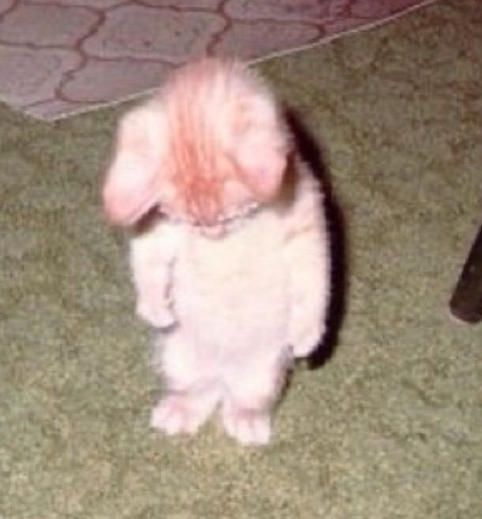 bu gariban kıskanmış bunu da mutlu edin