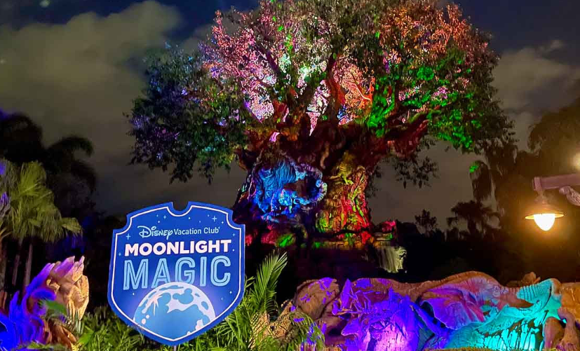 Scott Gustin tweet media