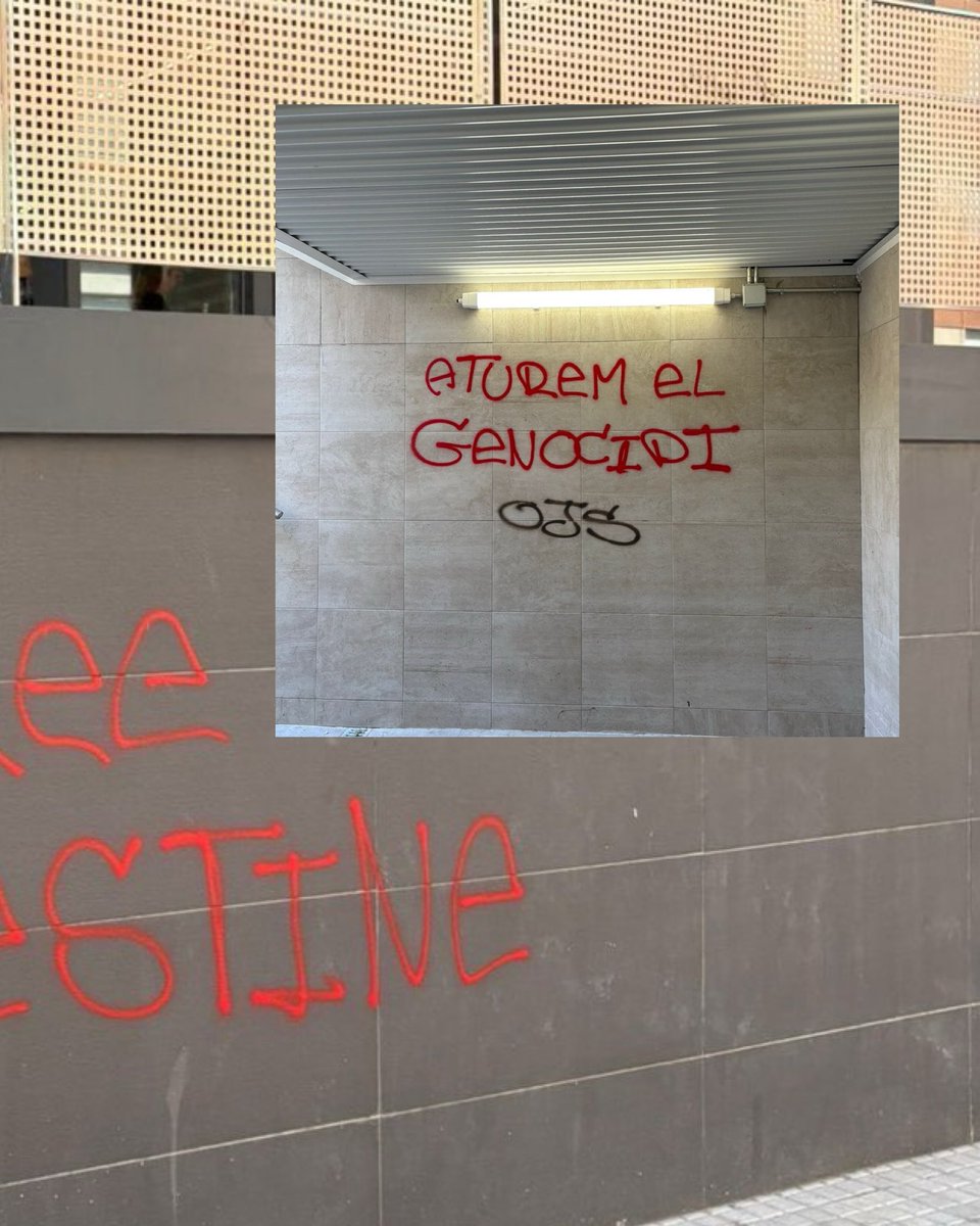 🔴 || Avui a les concentracions del moviment en solidaritat per Palestina!

La juventut treballadora a primera línia contra les guerres imperialistes i el sionisme.