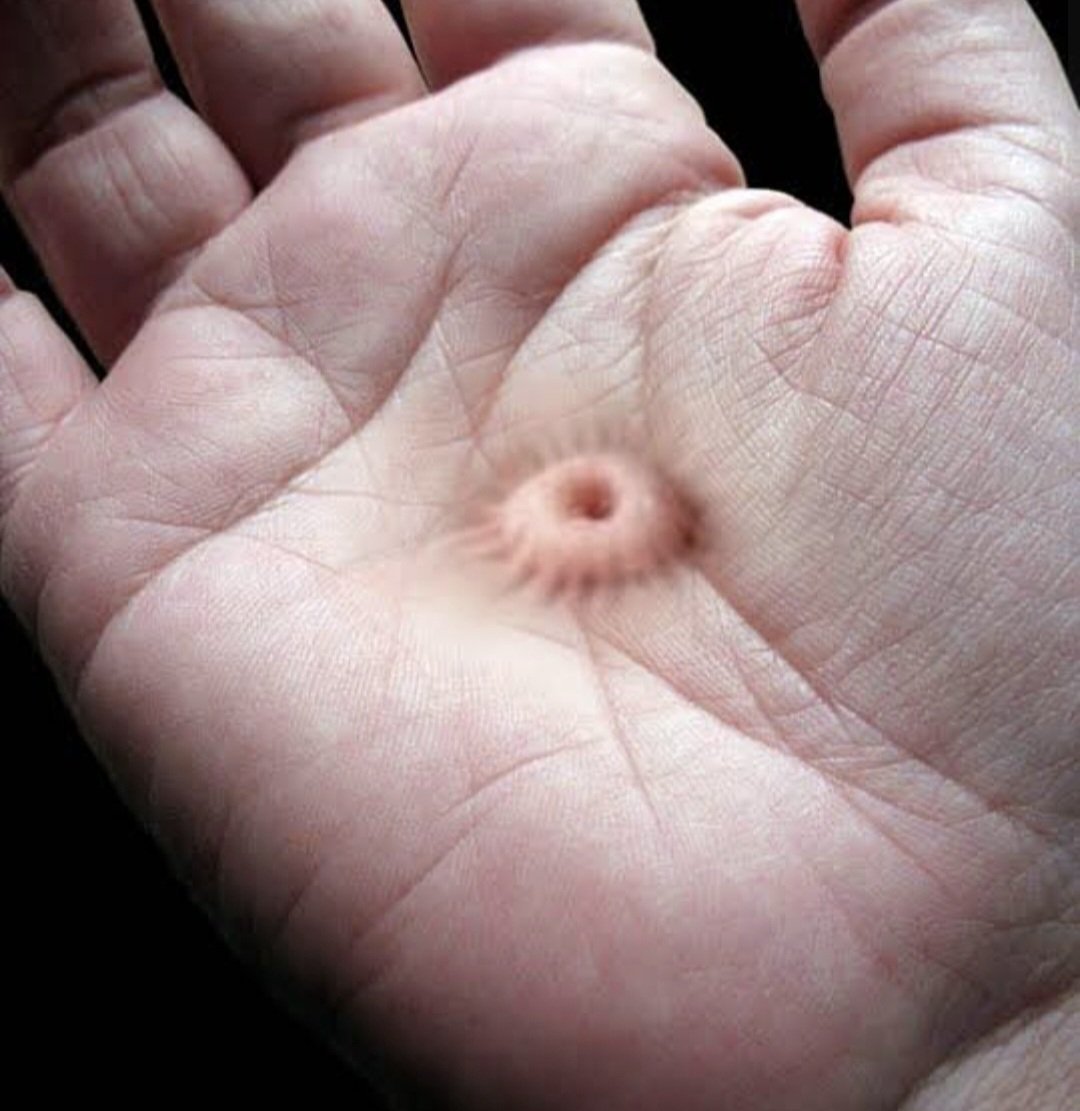 _Duffe's tweet image. 