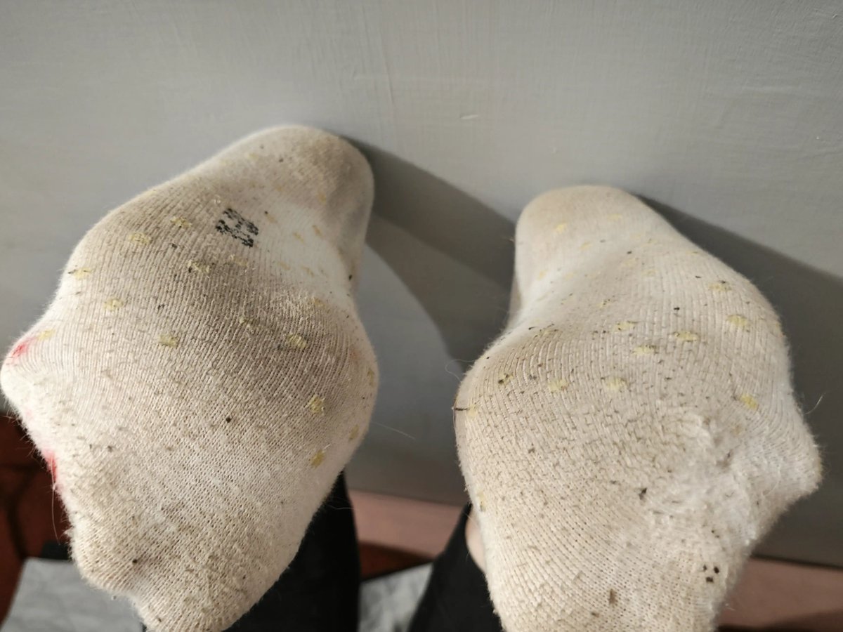 gs_susu's tweet photo. #whitesocks #nikesocks #nike #GirlsCup #converse #smelled #badsocks https://t.co/LOEjIArWnl