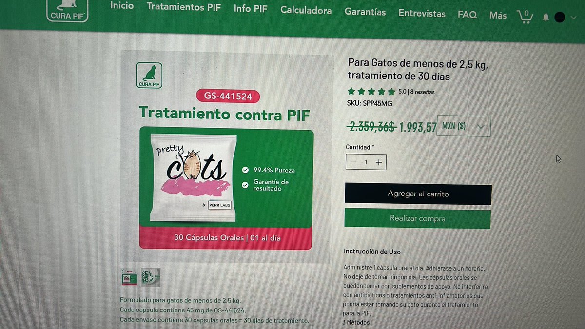 HerrerFx's tweet image. Hi, many don’t know me but I want to share my cat’s situation: my loyal therapy kitty was diagnosed with leukemia and FIP. I’m also in psychiatric treatment and struggling financially. I’m offering art commissions or donations:
 
ko-fi.com/herrerfox