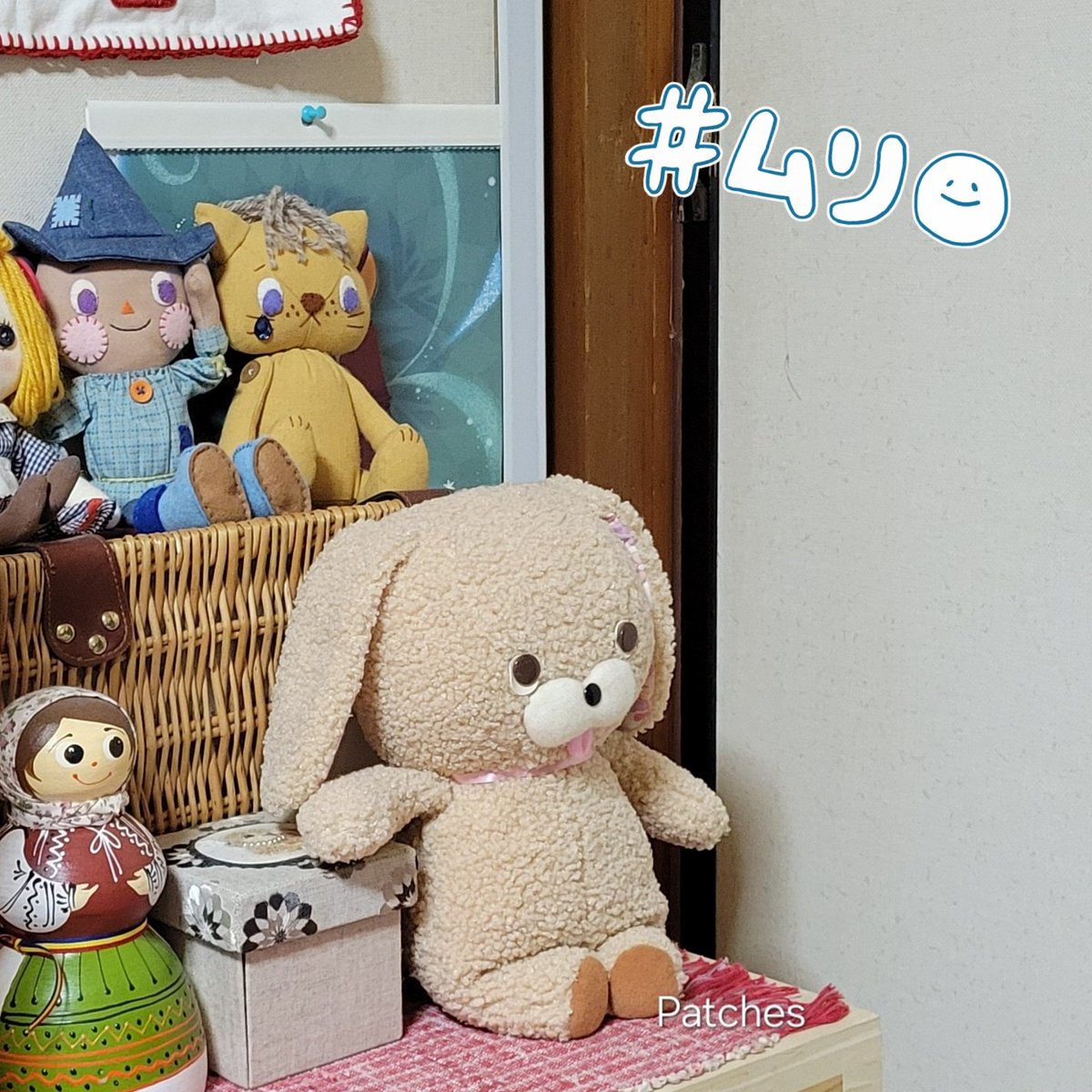 おはようございます🌞✨️
今朝のペロちゃんは疲れてるみたいです🐶。

#ぬい撮り　#ぬい活