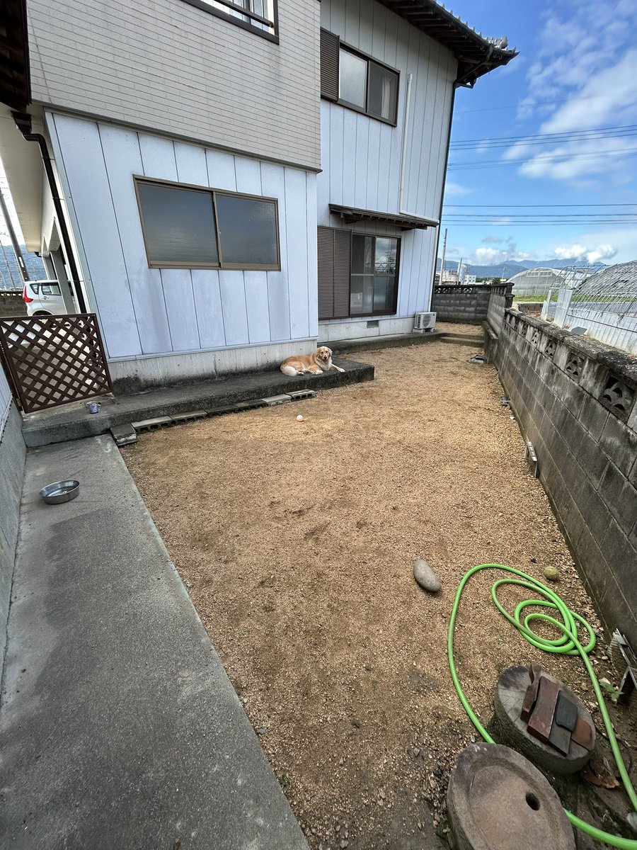 犬の運動スペース完成！
#犬　#ゴールデンレトリーバー