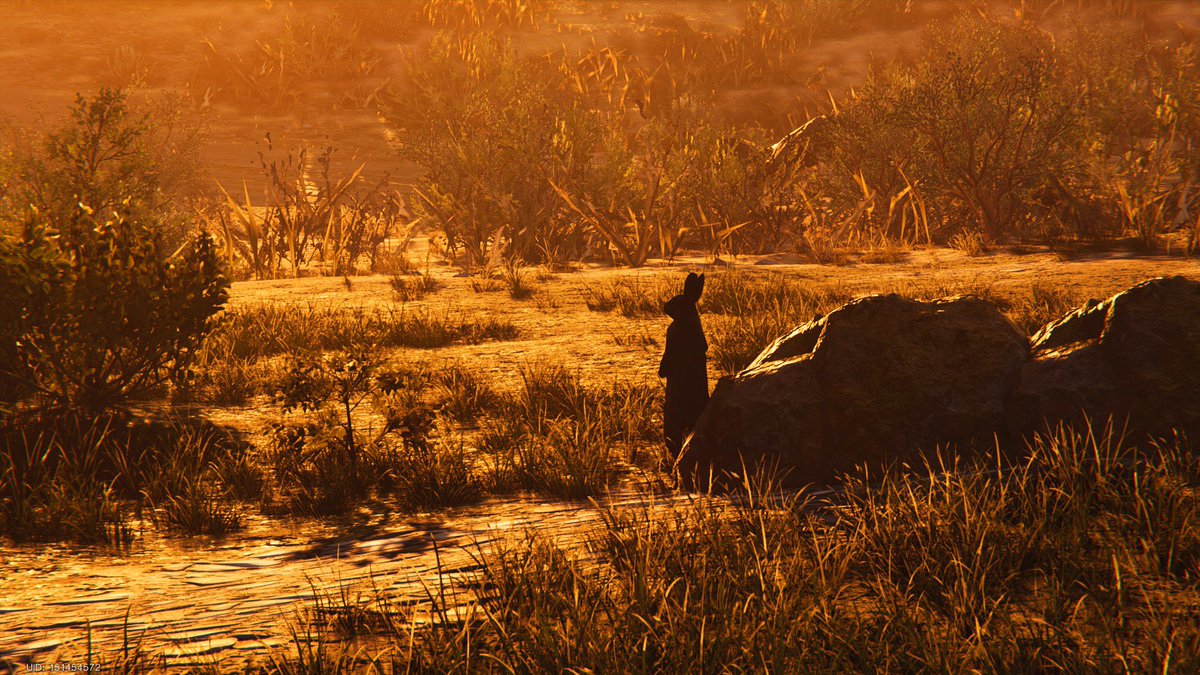 2YAkaneY2's tweet image. 😍this is beautiful😍
@OnceHuman_ 
#OnceHuman #openword #gaming #oncehumanmobile #VirtualPhotography #PhotoMode