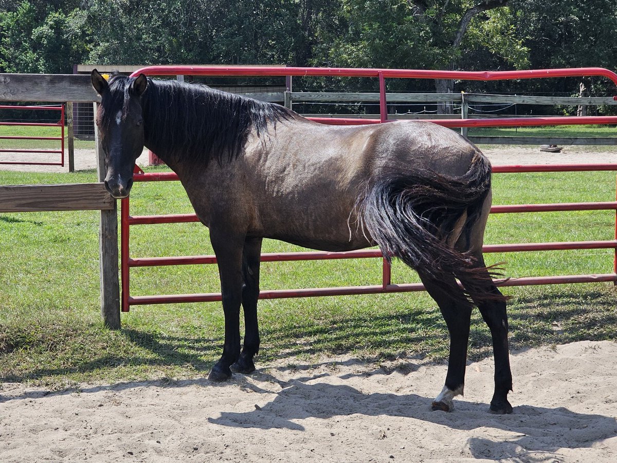 Pretty boy 🥰 Rio got some spa time and then was waiting at the gate for dinner time like he might waste away at any moment 😂