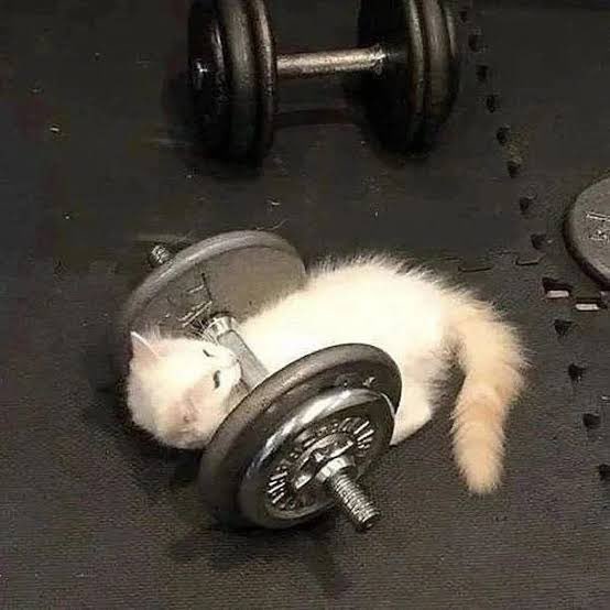 bvborders's tweet photo. Gym bae wya?🩷 https://t.co/MkK9O5ufek