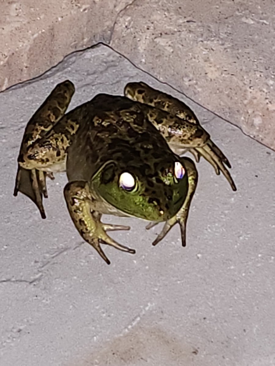 CMSaplak (@cmsaplak) on Twitter photo 