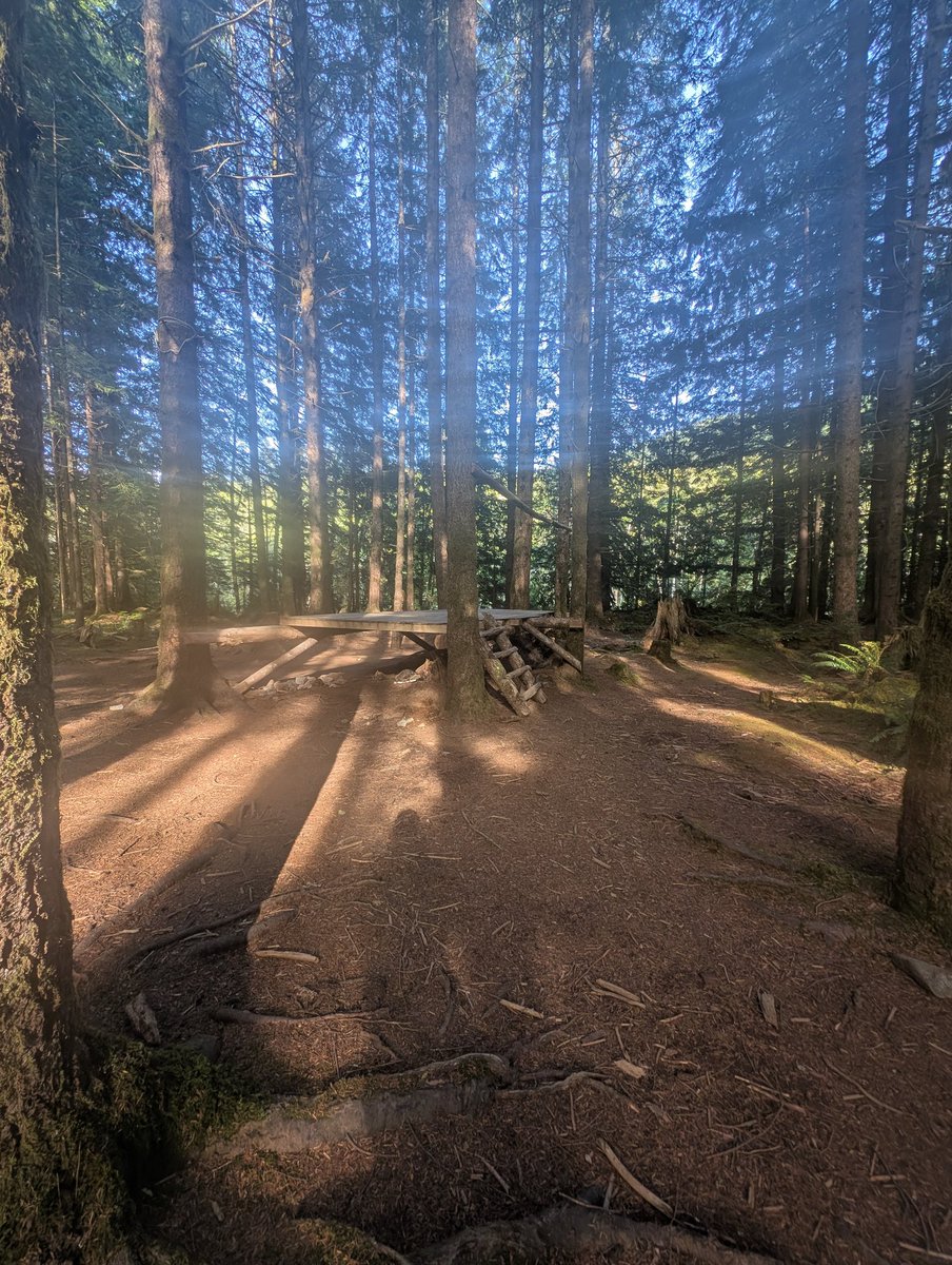 Dumb Hunter | Try Maven tweet media