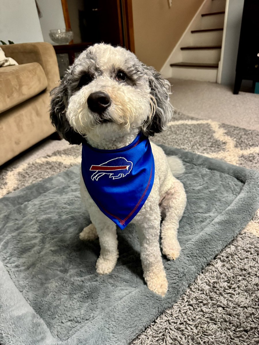 ToolSched's tweet image. This little guy is so ready for the game tonight. Go Bills! #BillsMafia
