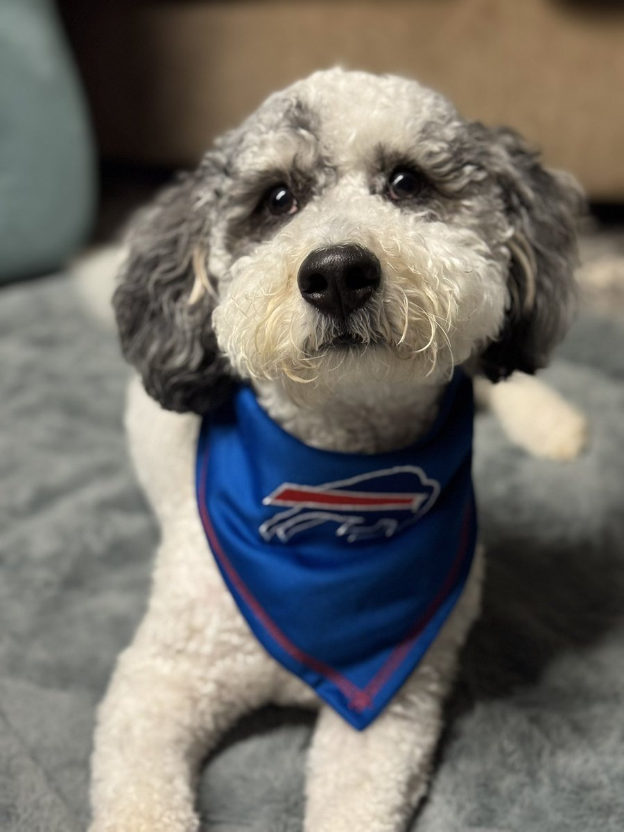 ToolSched's tweet image. This little guy is so ready for the game tonight. Go Bills! #BillsMafia