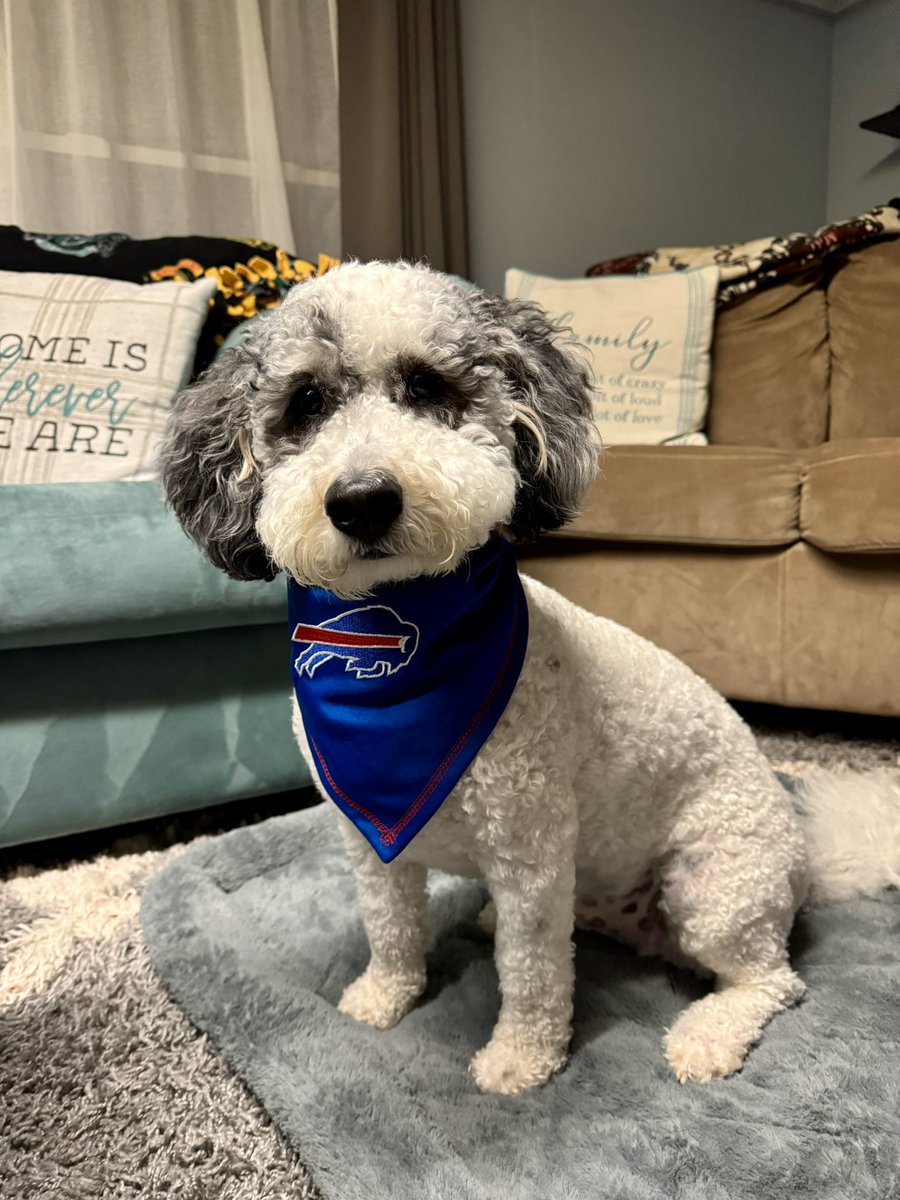 ToolSched's tweet image. This little guy is so ready for the game tonight. Go Bills! #BillsMafia
