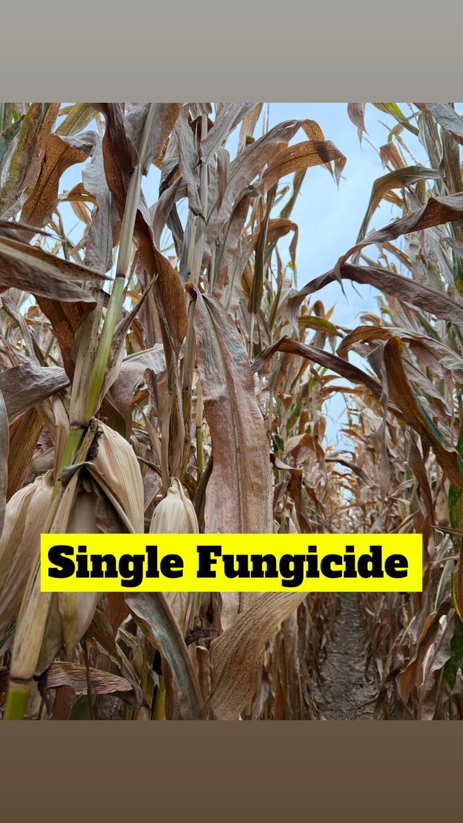 Delaney Ag Service tweet media