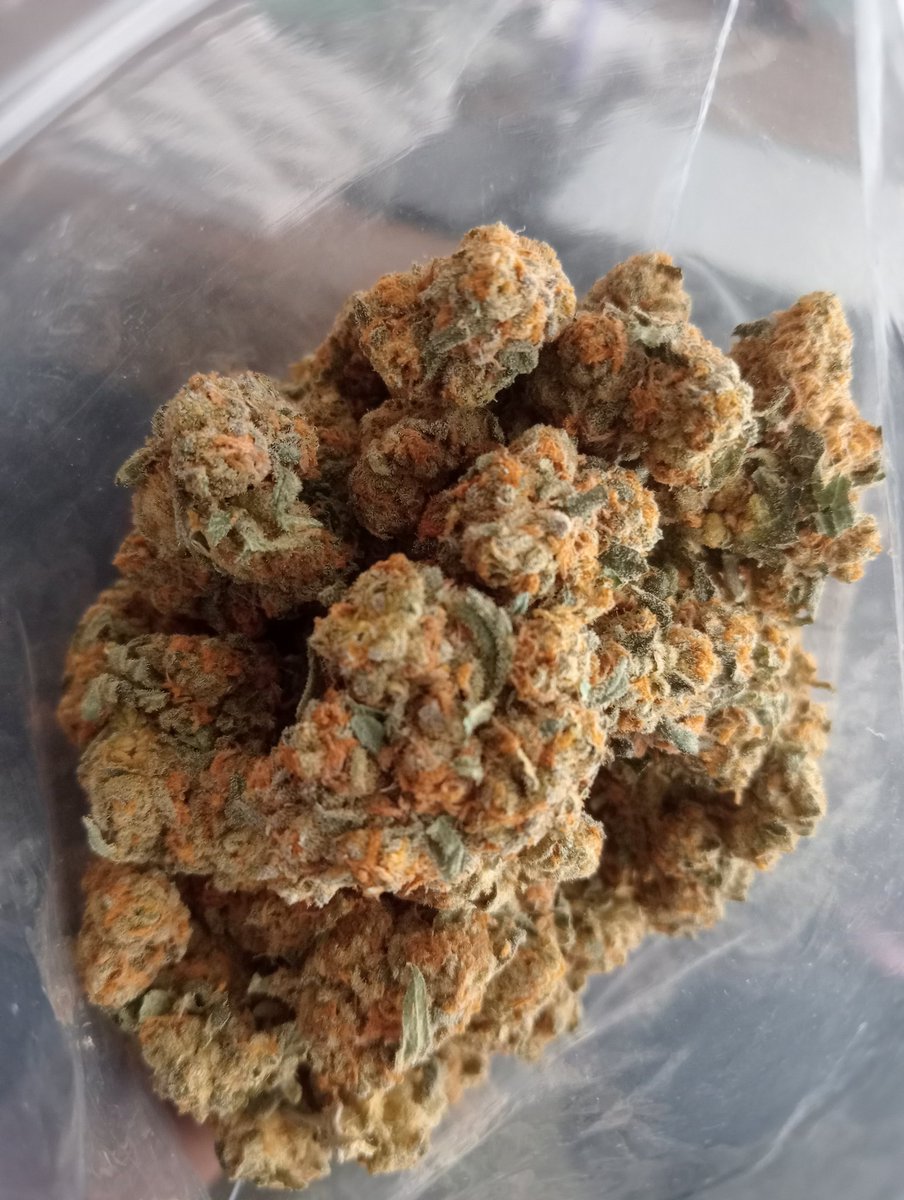 laxpack420's tweet photo. Gorila Glue harvest🪴✂️
@ILGMOfficial🧬
LOML
#growyourown #weed #CannabisCommunity #420life #WeedLovers #StonerFam https://t.co/1JBE7dgmfr
