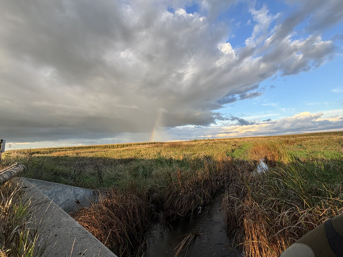 Abrasive Sparky (@abrasivesparky) on Twitter photo 