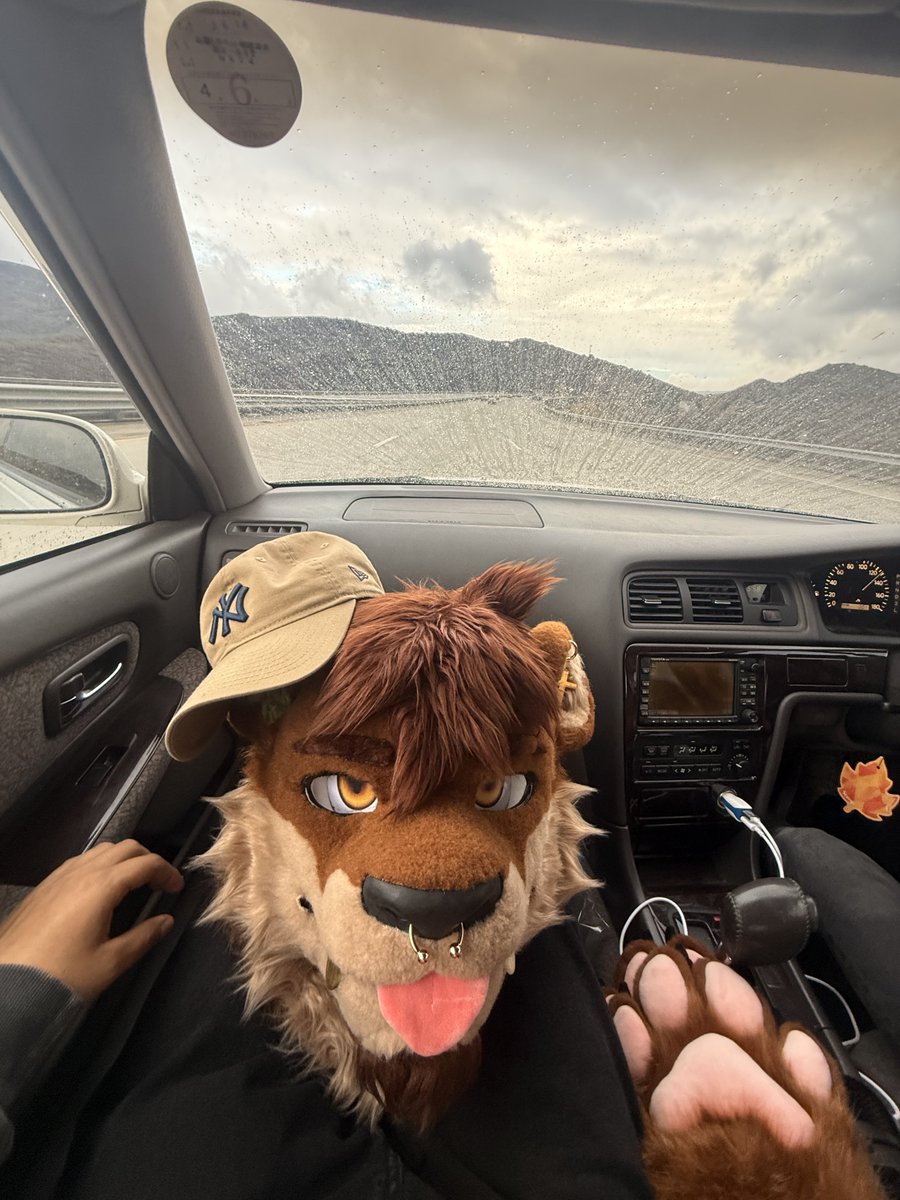 Lavi 🔜 FC tweet media