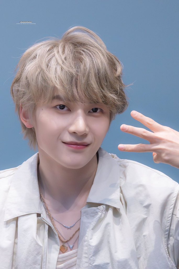 thread of Matthew as arctic foxes 🤍🩶