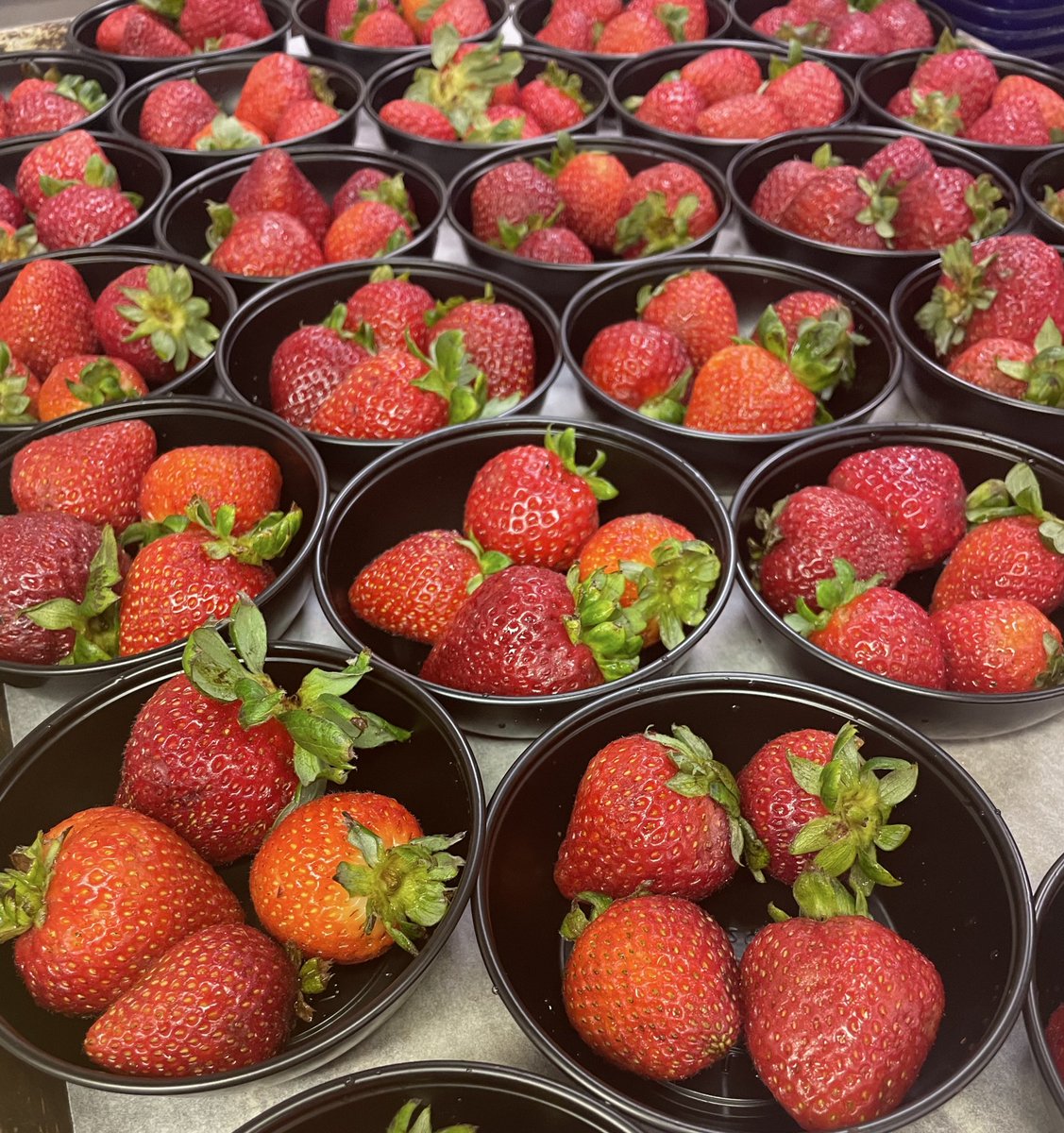 Fresh, colorful, and delicious on today’s school menu! 🌟
🥗 Classic Caprese salad with fresh mozzarella, tomatoes &amp; basil 🍓 Juicy fresh strawberries for a sweet finish
Fueling students with wholesome, balanced meals every day! 💚