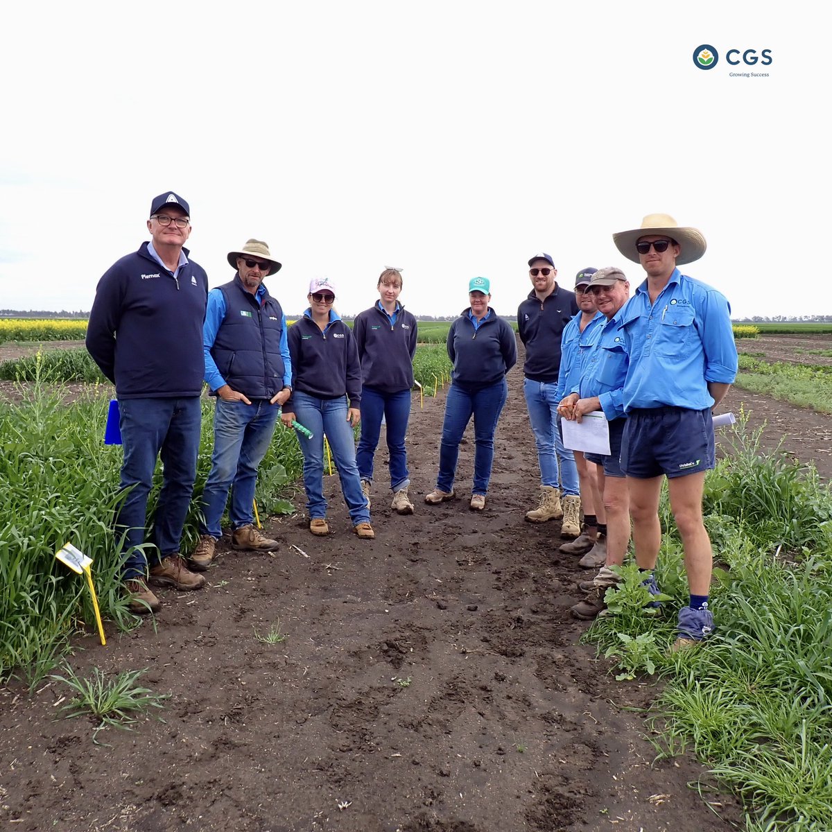 CGS Agronomists from Dalby and Goondiwindi recently attended a team walk through the ADAMA Tosari herbicide matrix trial site with Jim O’Connor and Sam East. It was a great opportunity to view trial sites and dive into some key agronomy insights