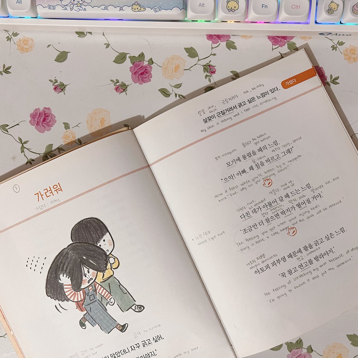 My daily dose of Korean. #studytwt #langtwt